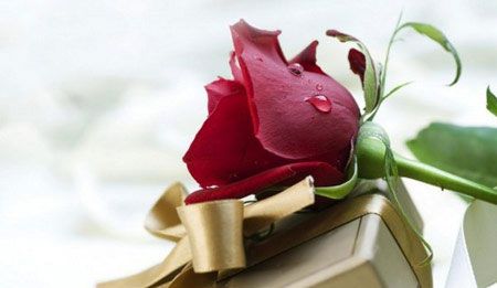 کارت پستال عاشقانه ولنتاین سال ۹۵