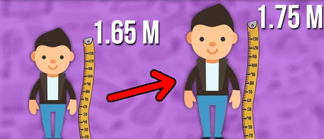 برنامه هفتگی برای افزایش قد ۵ سانت (جدول برنامه غذایی و حرکات کششی) 4 برنامه هفتگی برای افزایش قد 3