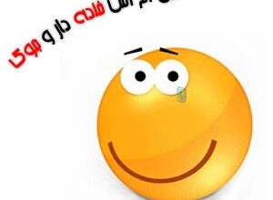 اس ام اس های جالب اصفهانی (147) 14 1529691173 samatak com