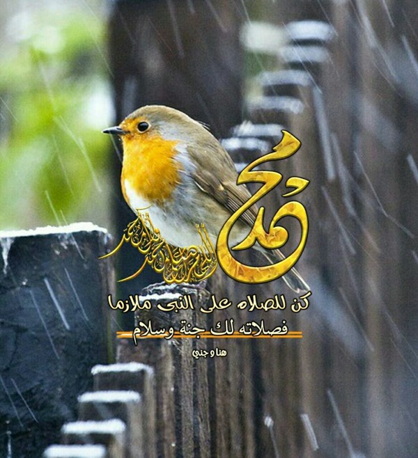 عکس نوشته صلوات برای پروفایل عکس نوشته صلوات برای پروفایل