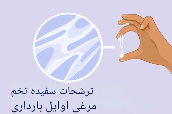 ترشحات واژن در روزهای اول بارداری 2