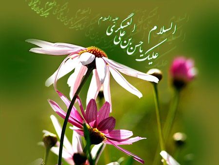 کارت پستال ولادت امام حسن عسکری (ع) کارت پستال ولادت امام حسن عسکری (ع)