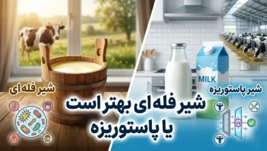 شیر فله ای بهتر است یا پاستوریزه 5 شیر فله ای بهتر است یا پاستوریزه