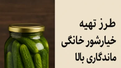 طرز تهیه خیارشور خانگی با ماندگاری بالا با سرکه 8 طرز تهیه خیارشور خانگی با ماندگاری بالا با سرکه