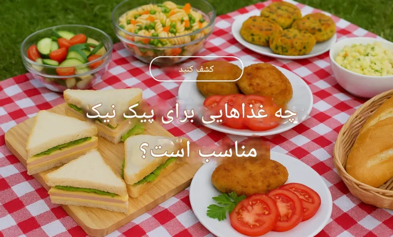 غذا برای پیک نیک چی ببرم؟ 1 غذا برای پیک نیک چی ببرم