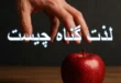 لذت گناه چیست