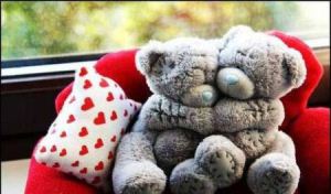 عکس های خرس عروسکی عاشقانه و احساسی 7 htyu6