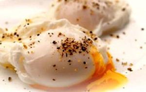طرز تهیه "تخم مرغ بندیکت" برای صبحانه 1 31354