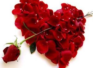 8 نشانه دلبستگی و عشق در یک رابطه 12 54757