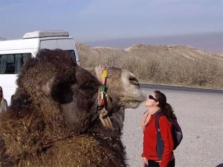عکسهای خنده دار و واقعی از خطای چشم انسان عکسهای خنده دار و واقعی از خطای چشم انسان
