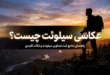 عکاسی سیلوئت چیست + چگونه عکس سیلوئت بگیریم 301 عکاسی سیلوئت چیست