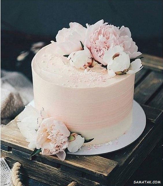 100 مدل کیک عروسی ۲۰۲۴ (یک طبقه، دو طبقه، سه طبقه و چند طبقه) 100 مدل کیک عروسی ۲۰۲۴ (یک طبقه، دو طبقه، سه طبقه و چند طبقه)