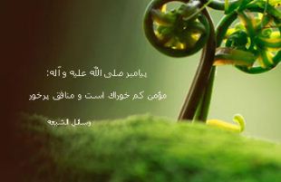 احادیث زیبا از بزرگان دین درباره غذا خوردن 73 563475357