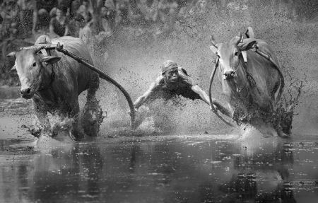 بهترین عکس های منتخب از سراسر دنیا