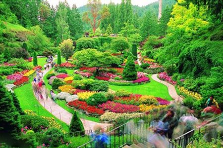 بهترین باغ های دیدنی جهان با گل های زیبا بهترین باغ های دیدنی جهان با گل های زیبا