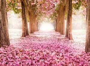 جوک های زیبا و جالب خدا 41 758665093 samatak com