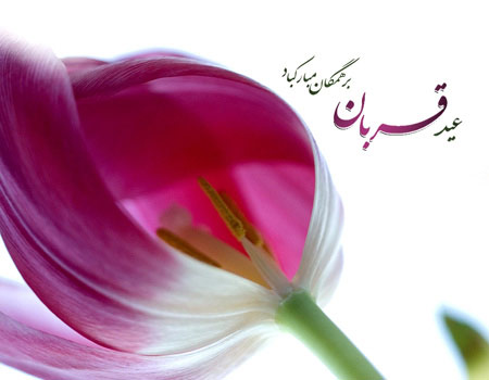 تصاویر کارت پستال ویژه عید سعید قربان