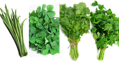 ترکیبات سبزی قورمه خوش عطر + نسبت سبزی قورمه سبزی برای ده کیلو و بیشتر 98 453340851 samatak com