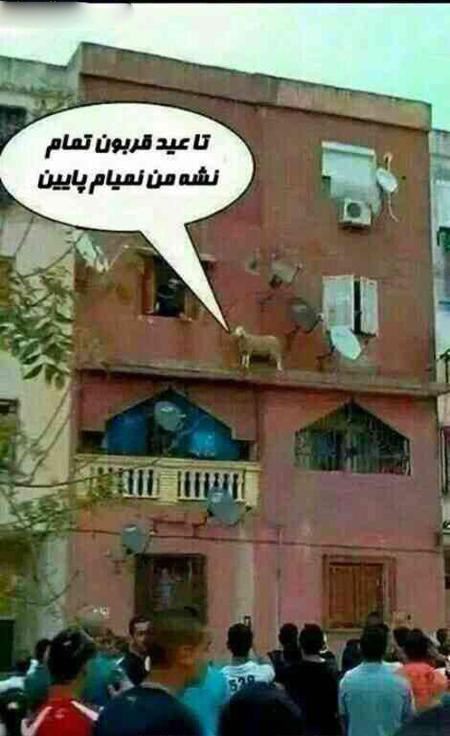 کلکسیون جدیدترین عکس های خنده دار امسال کلکسیون جدیدترین عکس های خنده دار امسال