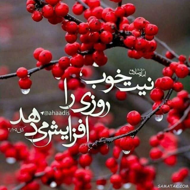 جملکس های زیبا و آموزنده سال 99 جملکس های زیبا و آموزنده سال 99