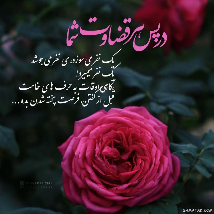 جملکس های زیبا و آموزنده سال 99 جملکس های زیبا و آموزنده سال 99