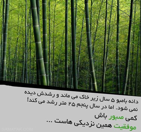 عکس های عاشقانه فلسفی و آموزنده