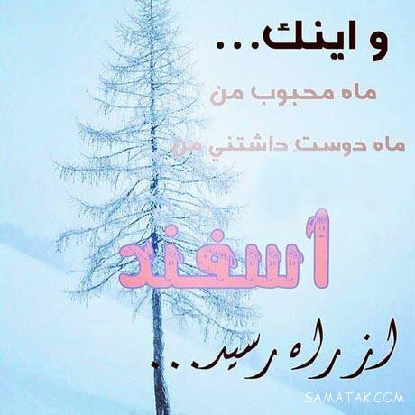 عکس نوشته تبریک تولد ماه اسفند