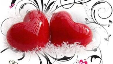 1697839107 samatak com