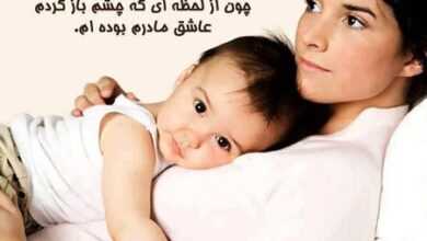 1061976242 samatak com