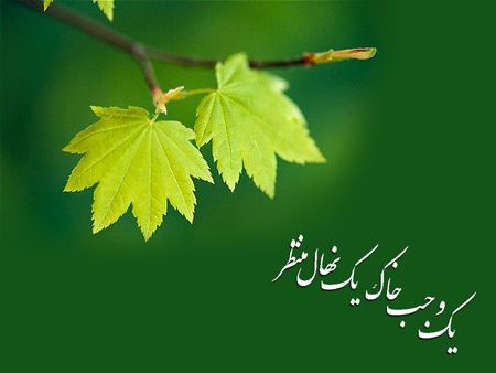 جدیدترین پوسترهای روز درختکاری جدیدترین پوسترهای روز درختکاری