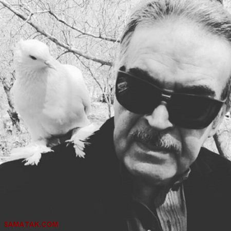 عکس بازیگران مرد ایرانی در سال 95 عکس بازیگران مرد ایرانی در سال 95