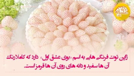 عکس نوشته اطلاعات عمومی عکس نوشته اطلاعات عمومی