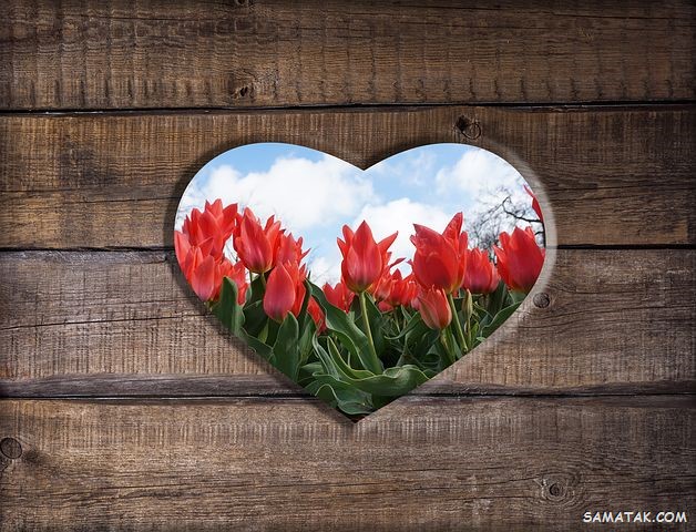 125 عکس قلب عاشقانه جدید برای پروفایل با کیفیت بالا 76 عکس قلب عاشقانه جدید