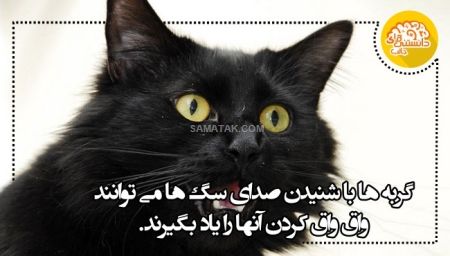 عکس نوشته اطلاعات عمومی عکس نوشته اطلاعات عمومی