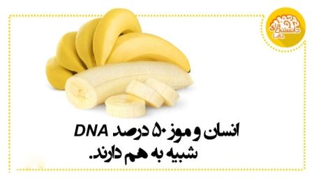 عکس نوشته اطلاعات عمومی عکس نوشته اطلاعات عمومی
