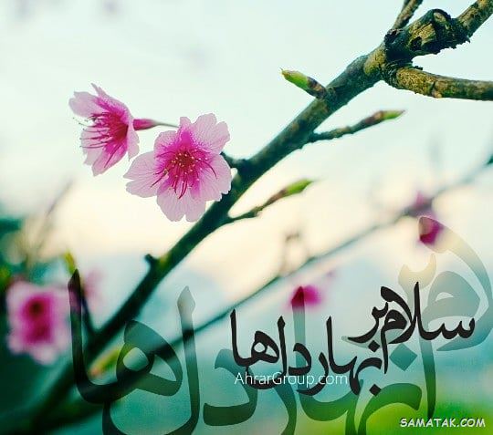 پیام بهاری عاشقانه + متن عاشقانه بهاری دونفره پیام بهاری عاشقانه + متن عاشقانه بهاری دونفره