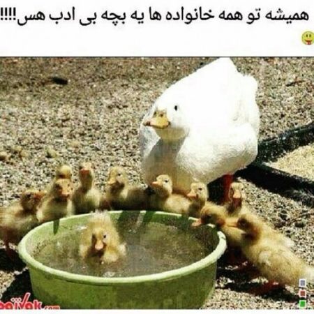 دانلود عکس نوشته های خنده دار سری جدید