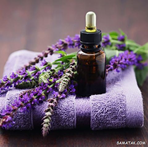روغن گل بنفشه برای چی خوبه | خواص روغن بنفشه برای پوست و مو روغن گل بنفشه برای چی خوبه | خواص روغن بنفشه برای پوست و مو