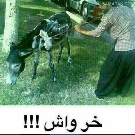 دانلود عکس نوشته های خنده دار سری جدید