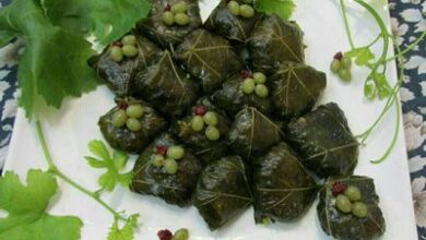طرز تهیه دلمه برگ مو برای 4 نفر در منزل 4 2049156408 samatak com