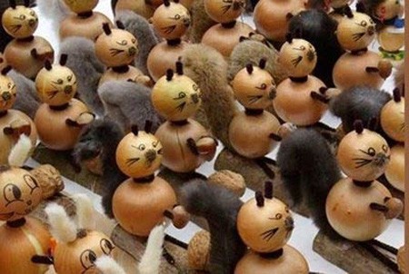 تزیین سبد سیب زمینی پیاز عروس + جای سیب زمینی پیاز مدرن