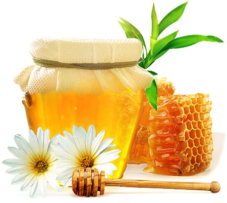 انواع عسل طبیعی و خواص درمانی عسل های مختلف