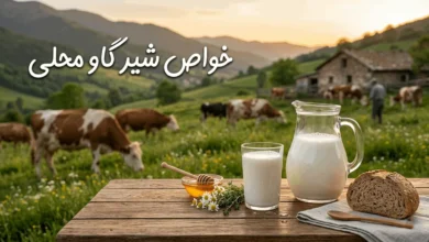 خواص شیر گاو محلی برای بزرگسالان 8 خواص شیر گاو محلی