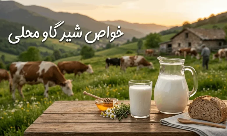 خواص شیر گاو محلی برای بزرگسالان 1 خواص شیر گاو محلی