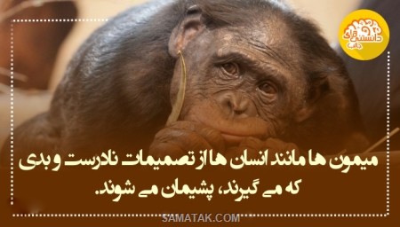 اطلاعات عمومی و دانستنی های جالب اطلاعات عمومی و دانستنی های جالب