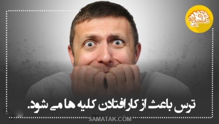 اطلاعات عمومی و دانستنی های جالب اطلاعات عمومی و دانستنی های جالب