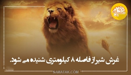 اطلاعات عمومی و دانستنی های جالب اطلاعات عمومی و دانستنی های جالب