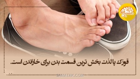 اطلاعات عمومی و دانستنی های جالب اطلاعات عمومی و دانستنی های جالب