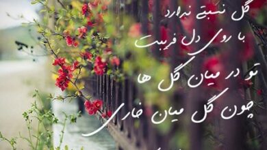 شعر غزل و تاریخچه آن 34 2140590840 samatak com