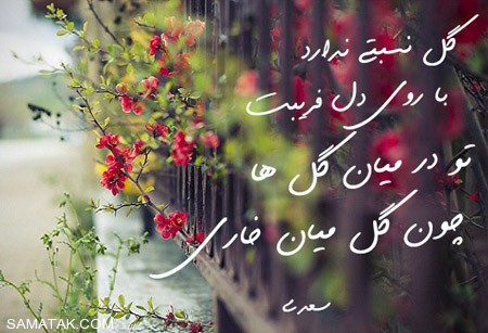 شعر غزل و تاریخچه آن 1 2140590840 samatak com